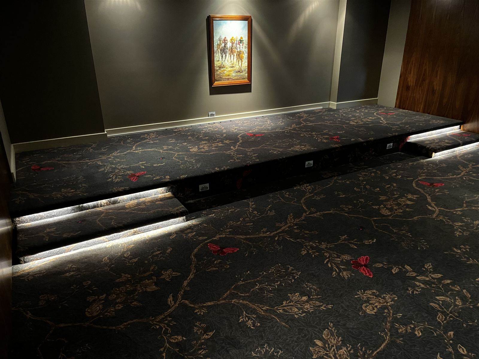 Patterned carpet in a home cinema